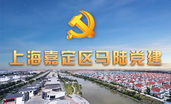马陆党建