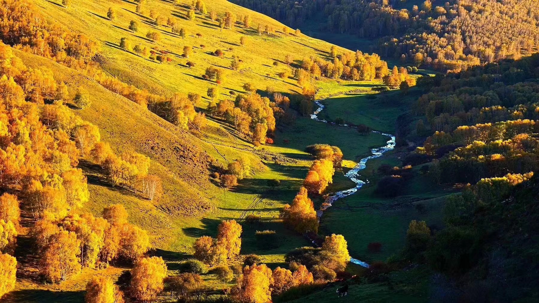 ΢��ͼƬ_20181008150629.jpg