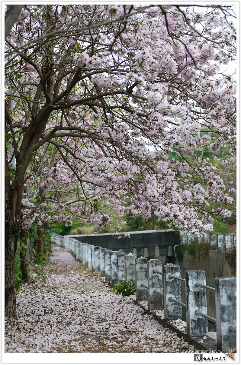 http://i.dcview.tw/gallery/201304/cab53c7779861b7f01e8e8ae67fe4861.jpg
