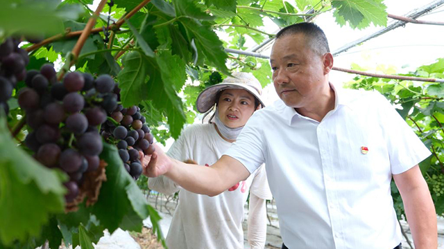  退伍军人当书记，带出一个亿元村