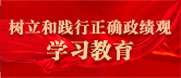 树立和践行正确政绩观学习教育