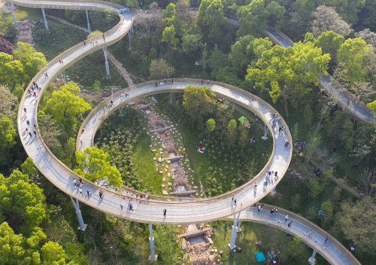 &ldquo;天空中&rdquo;的森林步道