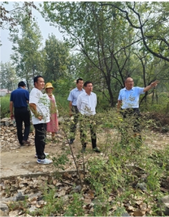 安徽埇桥：博士柔性挂职助力乡村振兴