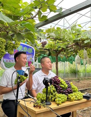 萧县白土镇：发展现代特色农业 帮扶助推乡村振兴