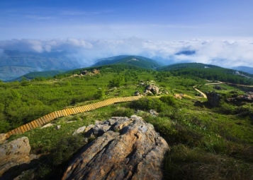 乌兰察布市兴和县：&ldquo;景&rdquo;上发力 阔步乡村振兴路