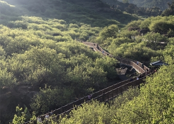 广东普宁：建设现代青梅园 打造业态示范园