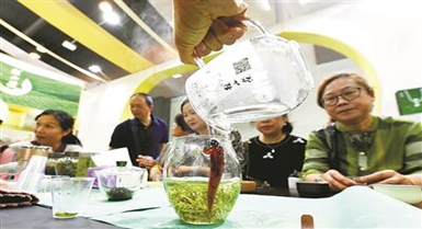 茶博会&ldquo;逛买&rdquo;进行中 这份喝茶&ldquo;小知识&rdquo;请参考