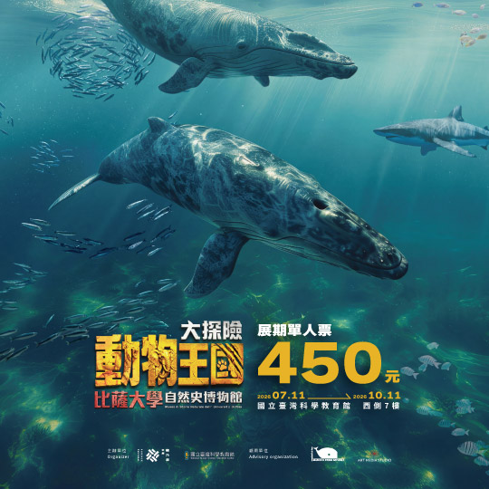 動物王國大探險展-比薩大學自然史博物館 