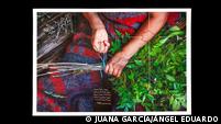 The illustration for the “Cambia la historia” project shows a top view of the hands of a seated person tying a bunch of twigs together with a thread