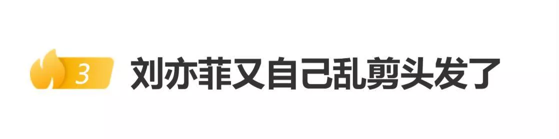 刘亦菲北电毕业20周年聚会 “自己乱剪头发了”登上热搜