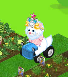 Hilary Booth drives a tractor