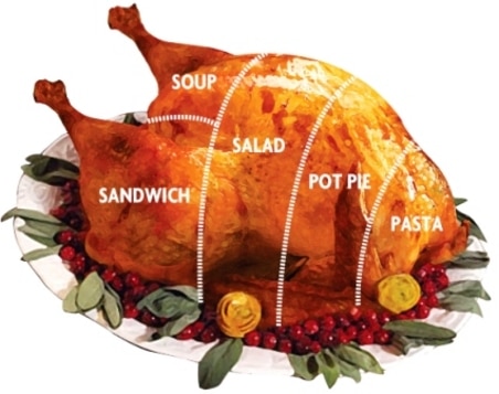 turkey