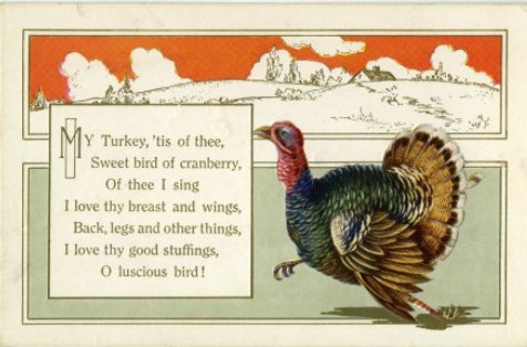 turkey2