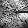 Review: Alejandro Silva - Solo Caos