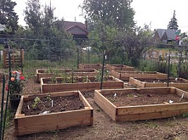 Community Garden