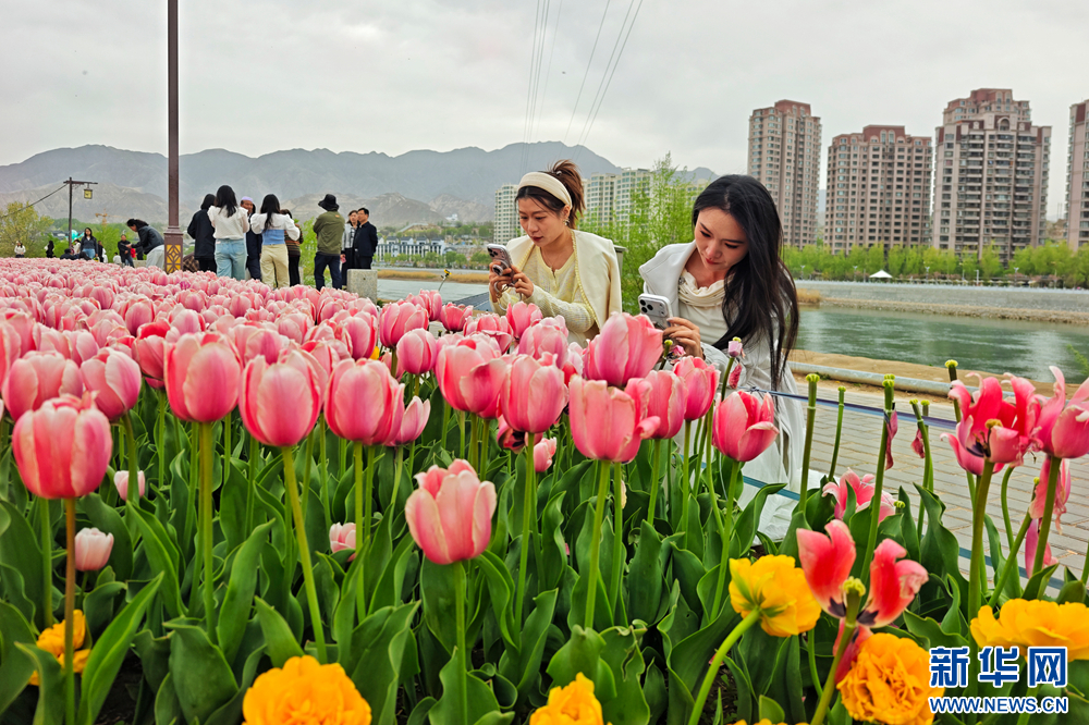 花香与河水一同奔流