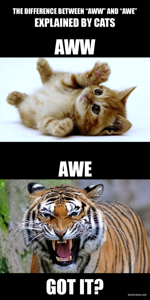 aww vs awe