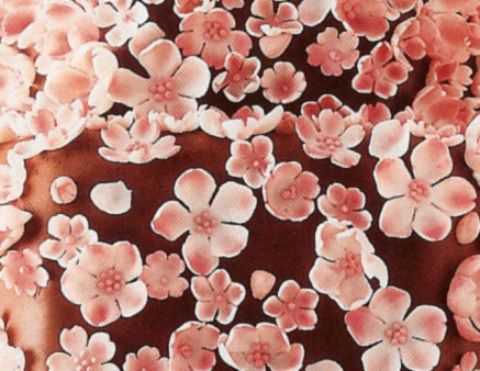 Gum-Paste-Blossoms