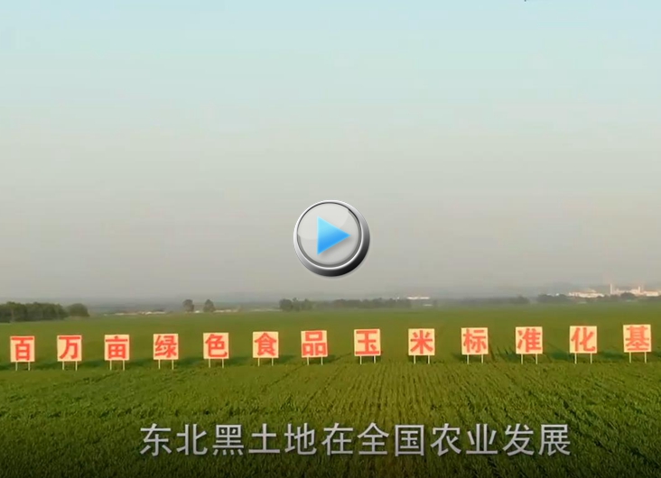 �á�����ģʽ�������������еĴ���è��