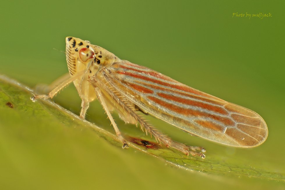 http://i.dcview.tw/gallery/201105/c133a5831fdbb7530ce0d271a5dcbf24.jpg