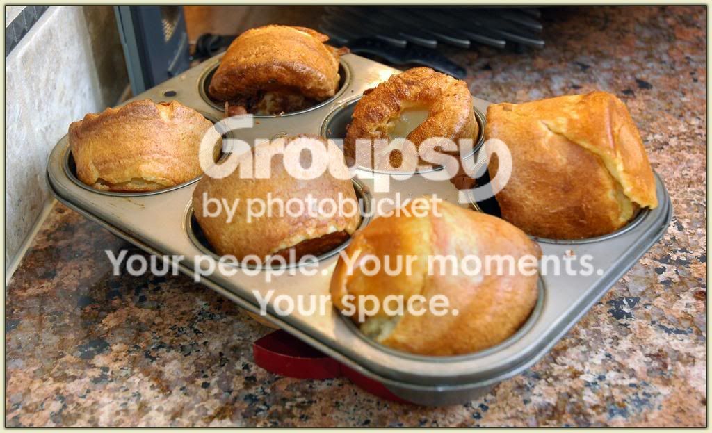 Yorkies