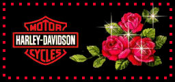Harley Blinkie Pictures, Images and Photos