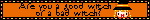 Good Witch or Bad Witch? Pictures, Images and Photos