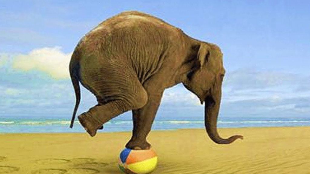 photo balance_zpslvjnprnq.jpg