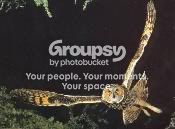 Photobucket - Video and Image Hosting