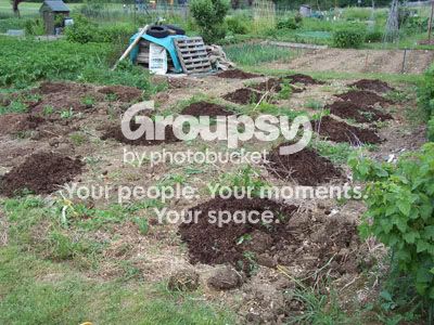 Photobucket - Video and Image Hosting