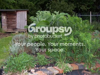 Photobucket - Video and Image Hosting
