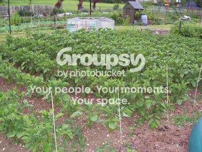 Photobucket - Video and Image Hosting
