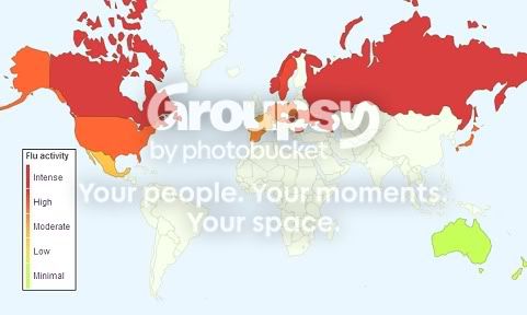 google flu map of the world