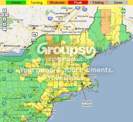 northeast us foliage map