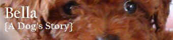 Bella, A Dog's Story Bella, A Dog's Story