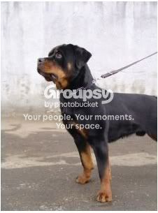 Photobucket - Video and Image Hosting