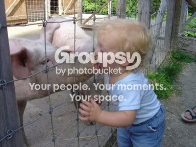 Swine Flu Pictures, Images and Photos
