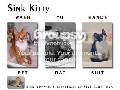 Sink Kitty