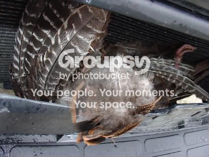 Turkey IN Van