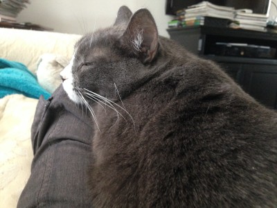 me nap on Mog