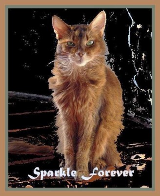 Sparkle Forever