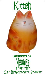 I adopted a virtual Squillion from the Cat Blogosphere!