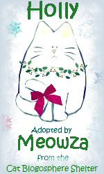 Holly Adopted by Meowza