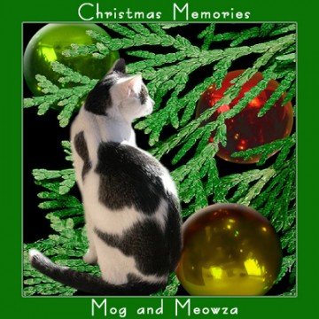 Mog and Meowza, Christmas 2012