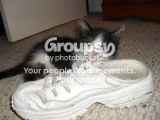 Photobucket