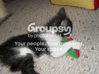 Photobucket