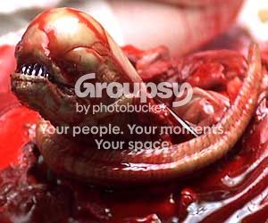 Photobucket - Video and Image Hosting