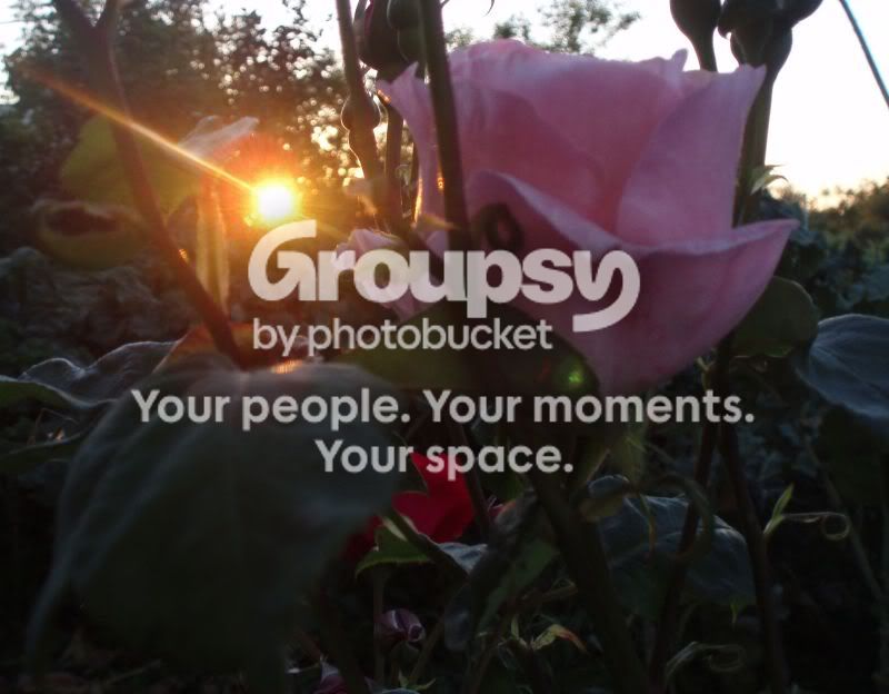 Photobucket