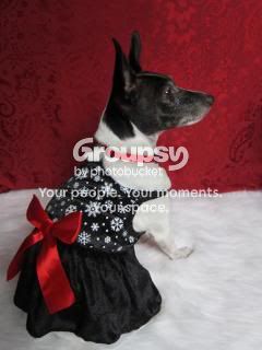 photo BessieChristmasDress.jpg