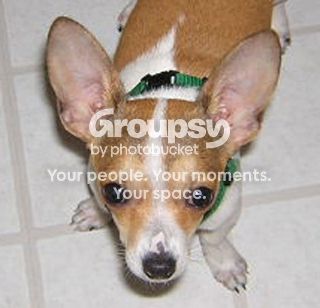 Image hosted by Photobucket.com